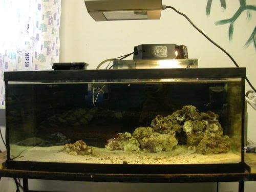 fulltank0040.jpg