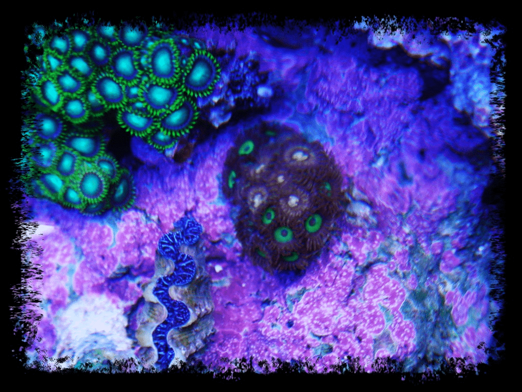 c057f96e.png