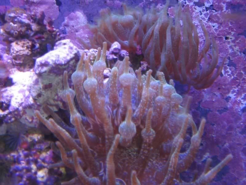 2-23-07February055.jpg
