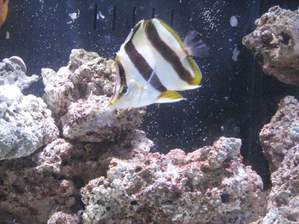 IMG_2717.jpg