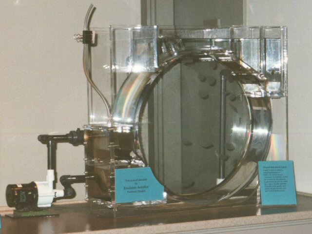 kreisel-1_lg.jpg