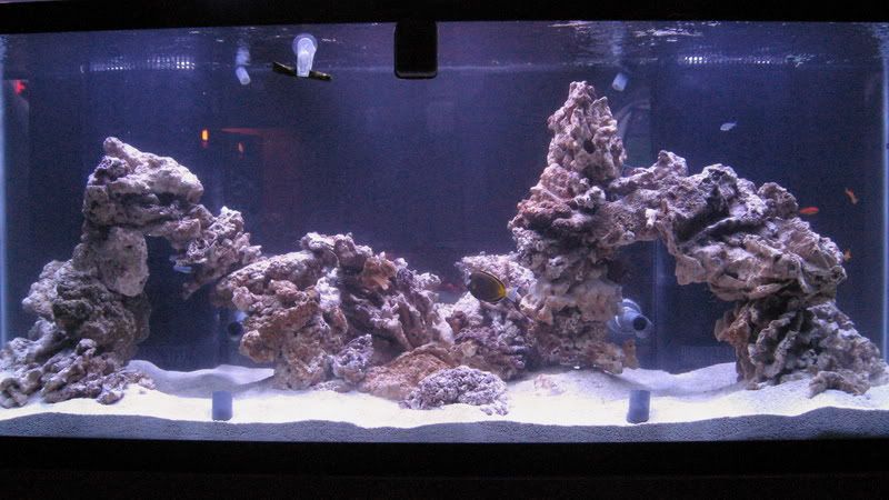 210-rockworkandfish073-1.jpg