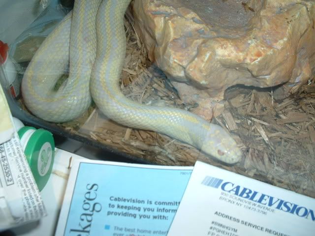 Picture048.jpg