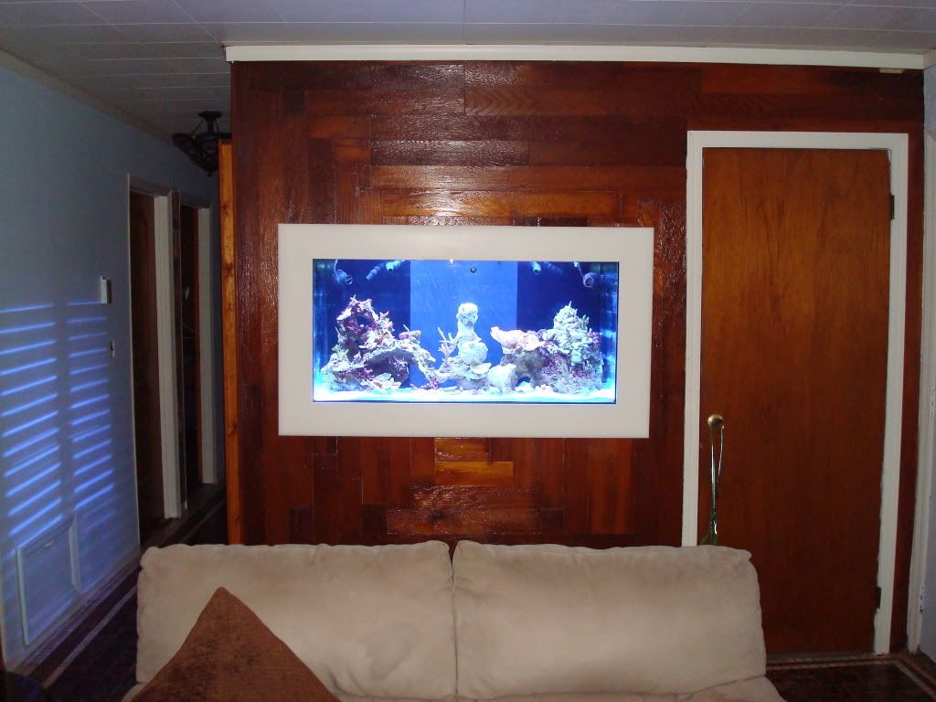 Tank2009june023.jpg
