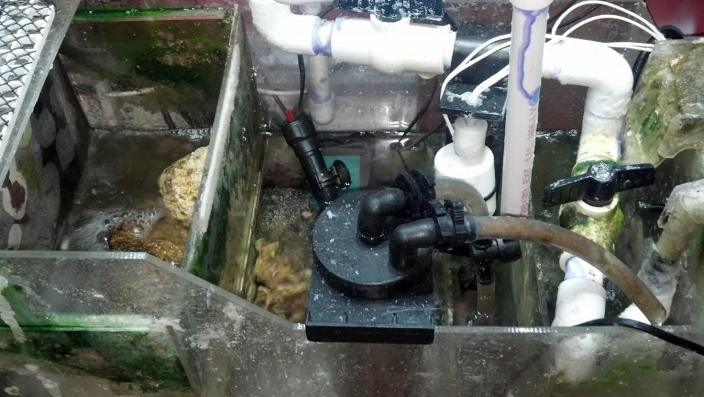 2013-02-11_20-44-09_959.jpg