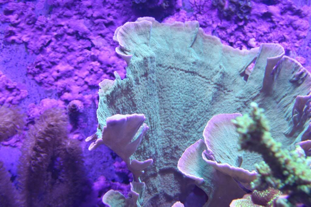 IMG_1260.jpg