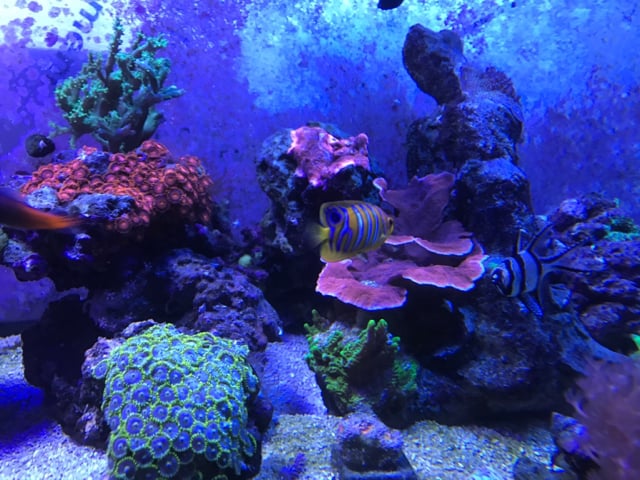 4f2ba9ebfc70728ea1c36fef90333ebf.jpg