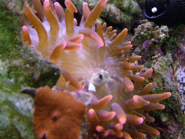 P8140007.jpg