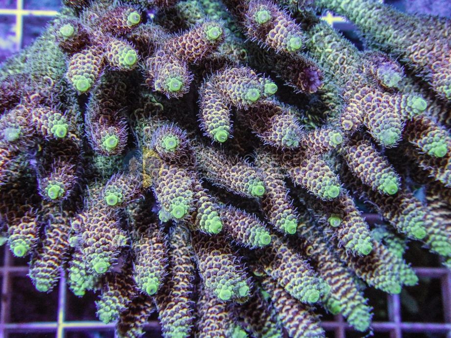 V770ksK.jpg