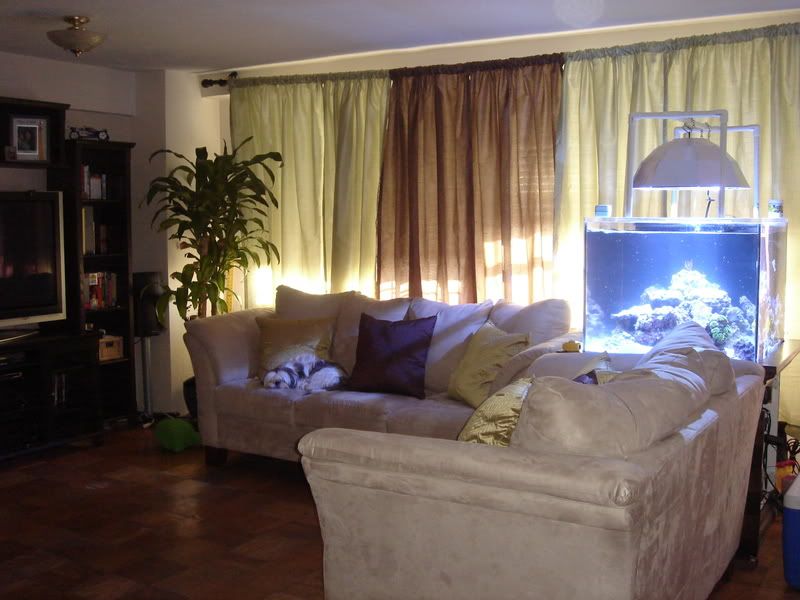 2008_0323100g-square0025.jpg