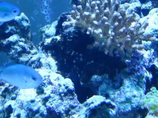 IMG_0846.jpg