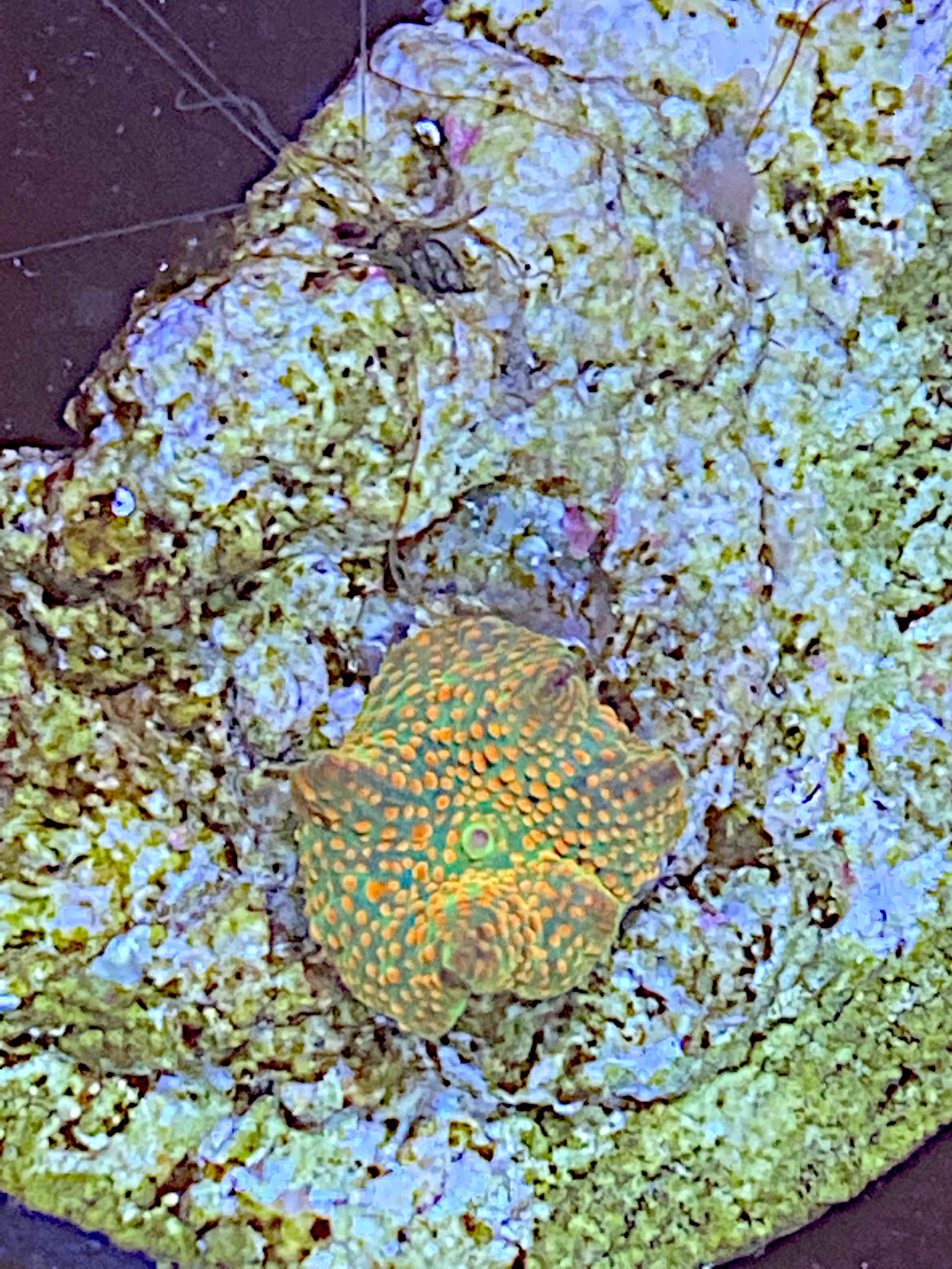 e5f1e271553726eeaede328b377fa845.plist