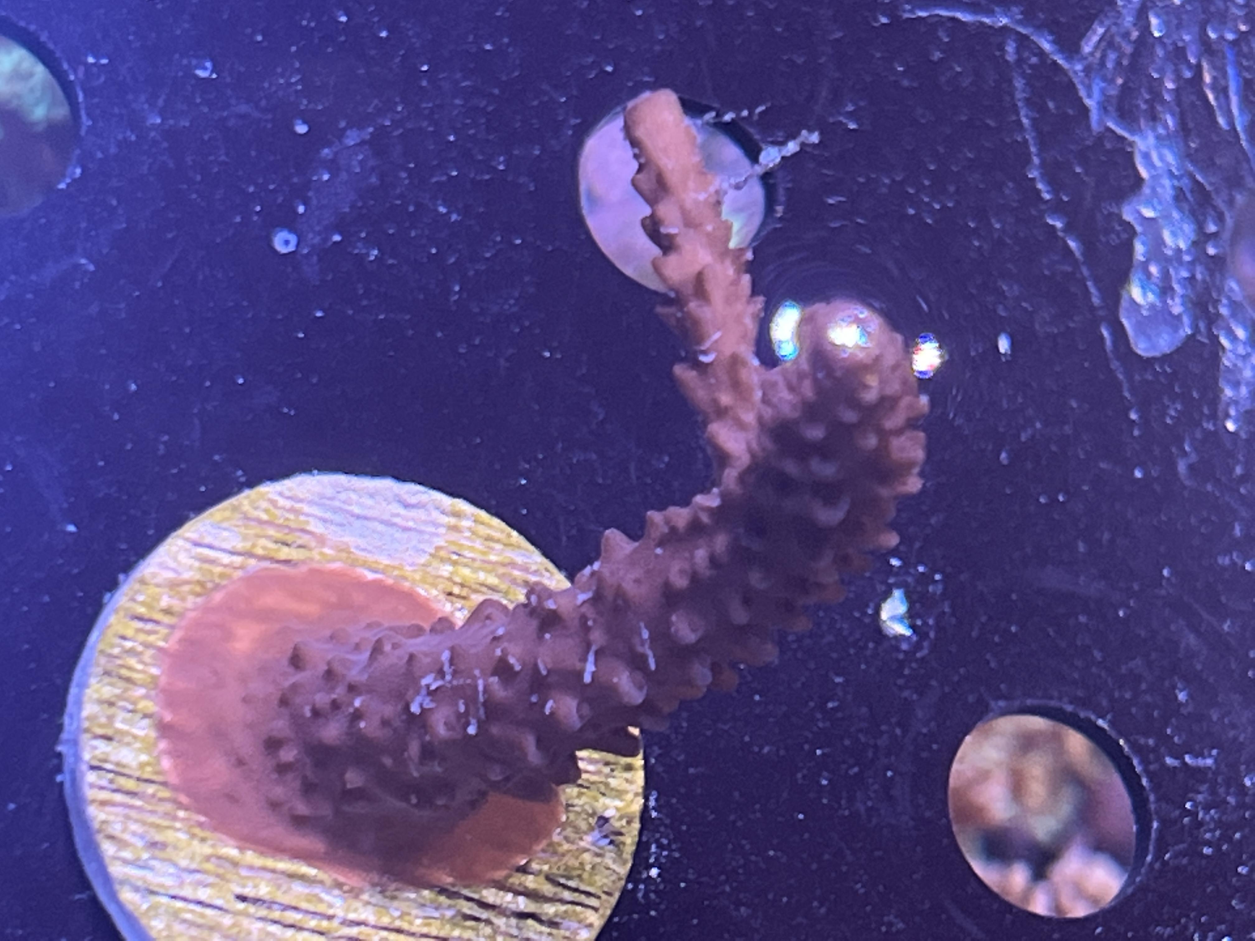 fcedae132b12eaa675501388ccb8bc6c.jpg