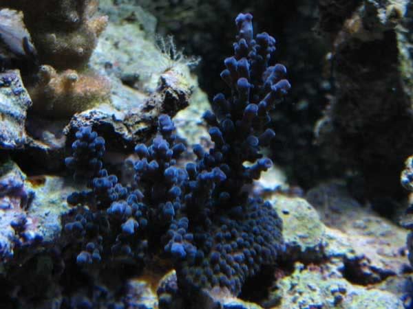 IMG_3547.jpg