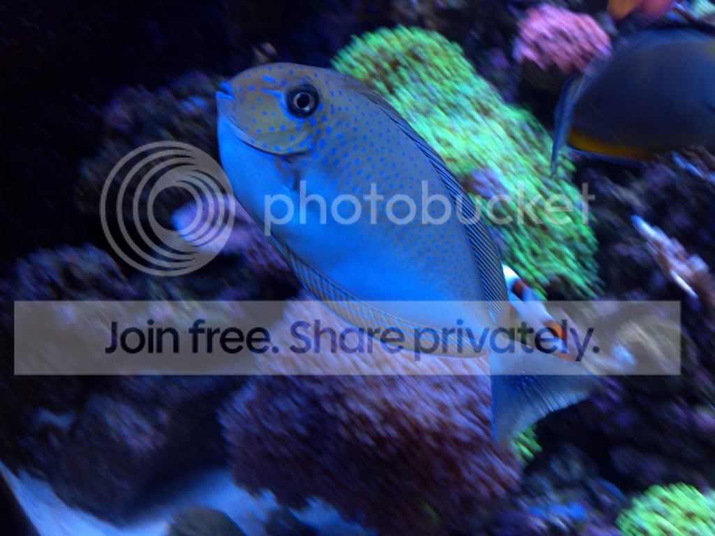 2012-01-17_13-55-28_859.jpg