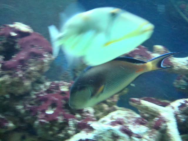 DSC03862.jpg