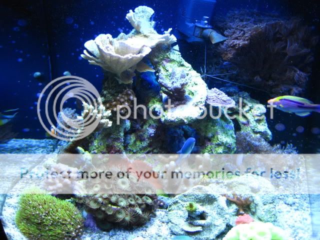 IMG_0569.jpg