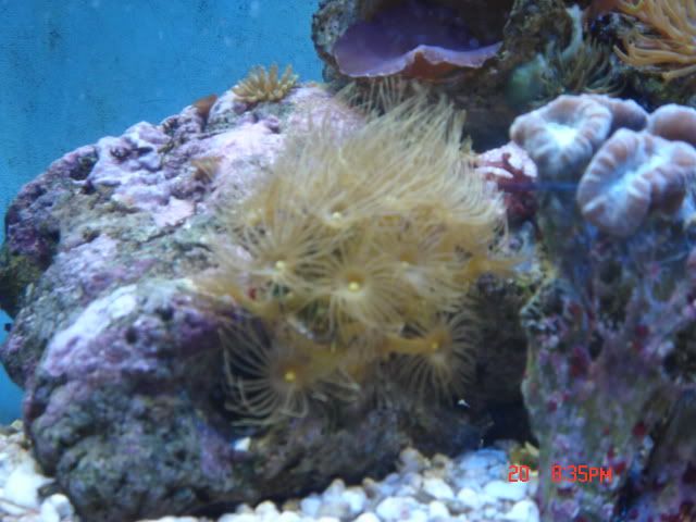 DSC01381.jpg