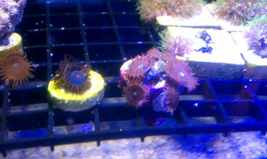IMAG0906.jpg