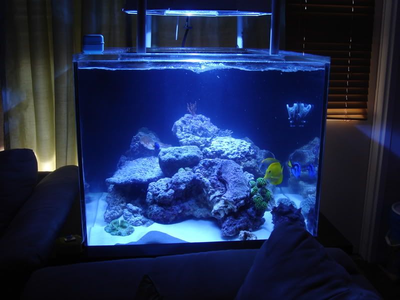 2008_0323100g-square0012.jpg