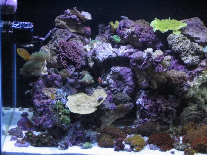 65g_leftside.jpg