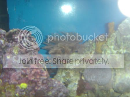 DSC01450.jpg