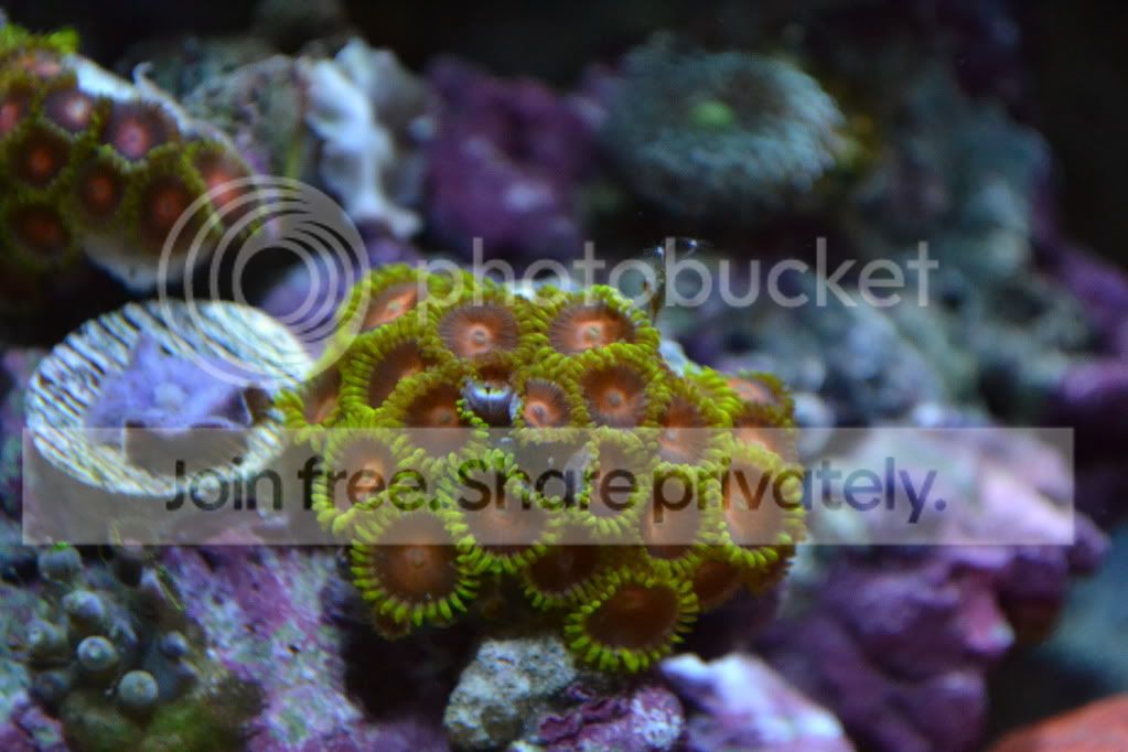 nanoforsale005.jpg