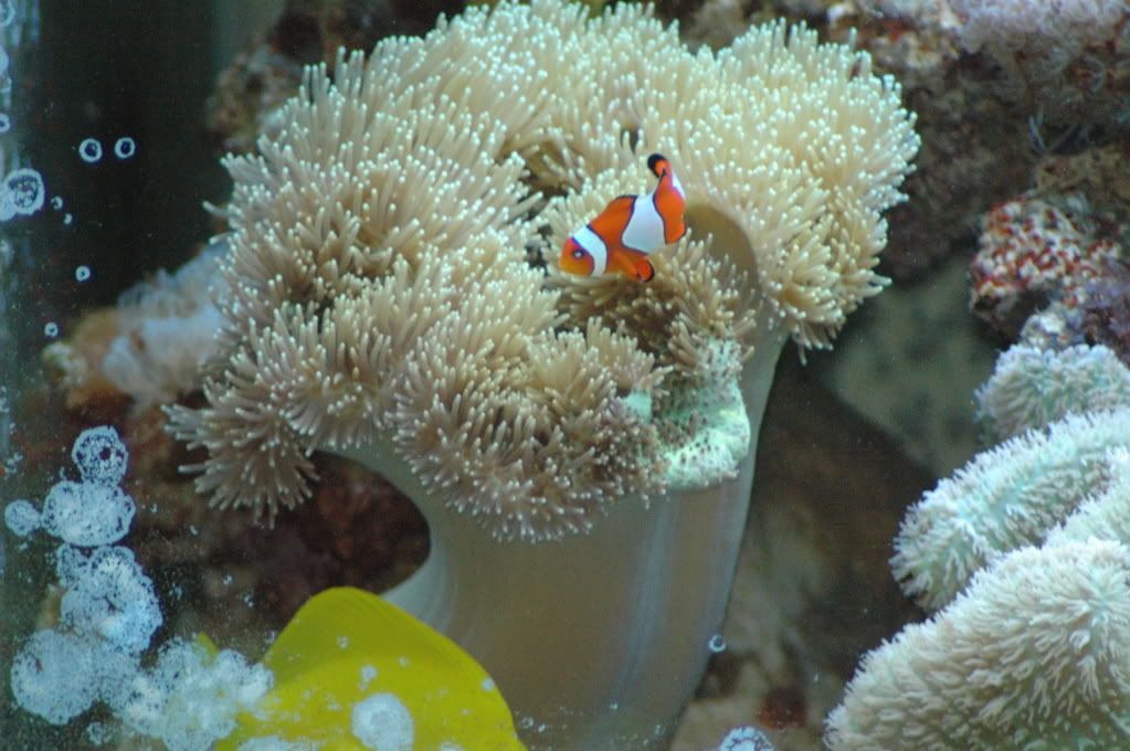 DSC_8092.jpg