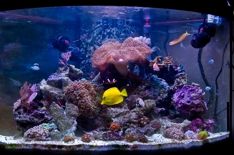 FTS.jpg