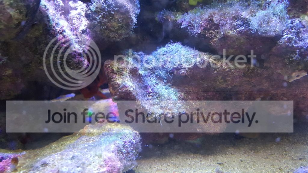 20160711_174906_zps7ovfzqfq.jpg