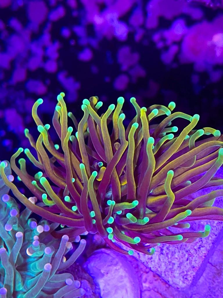 2406f99e64a847d83c627a4126bf9700.jpg