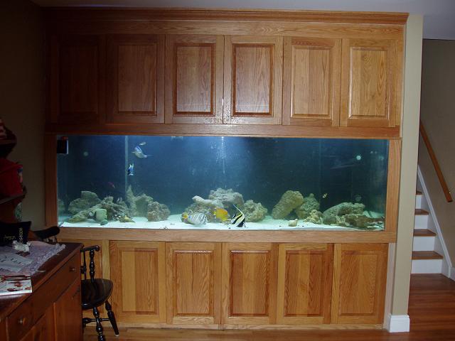 26536whole_tank.jpg