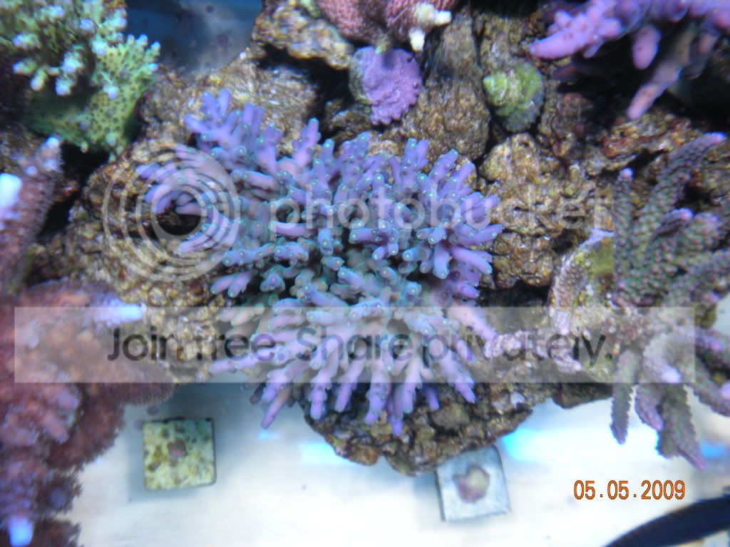 DSCN1053.jpg