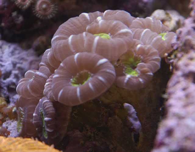 65g_012-2.jpg