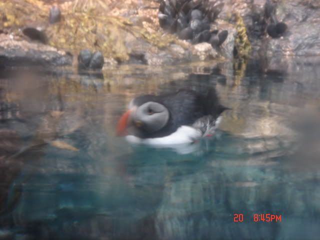 DSC01408.jpg