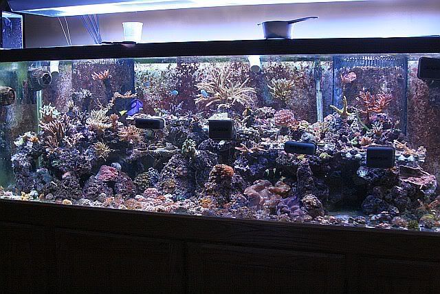 023-2.jpg