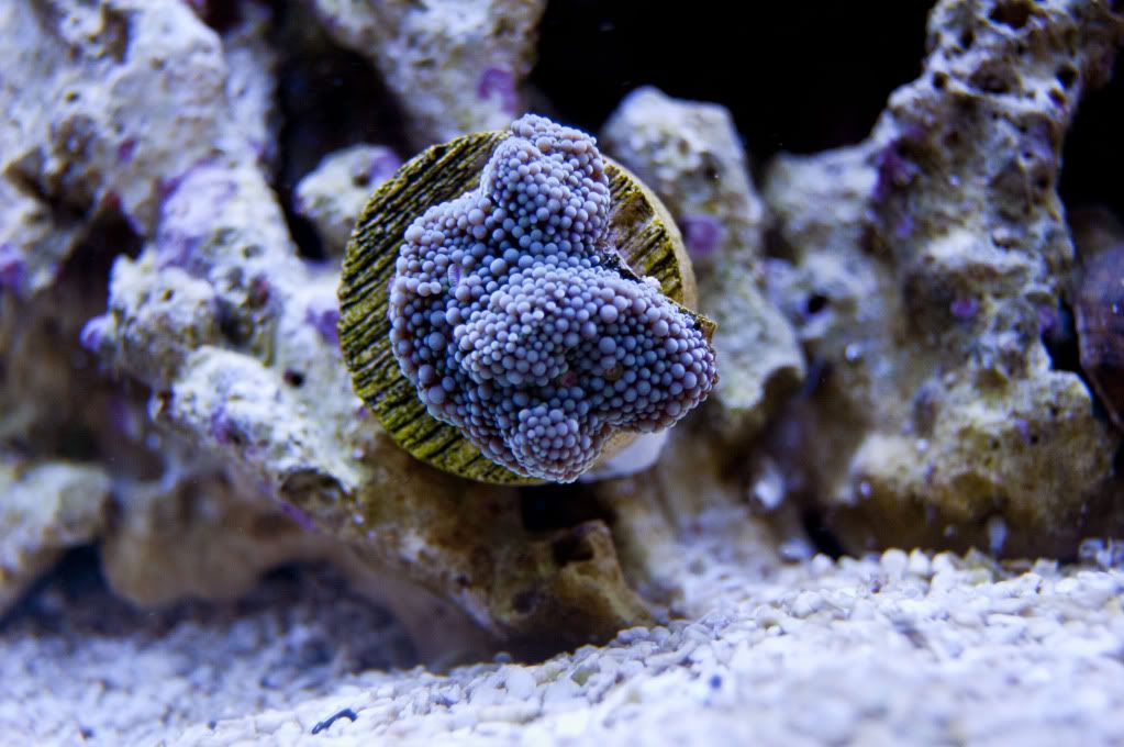 DSC_0365.jpg
