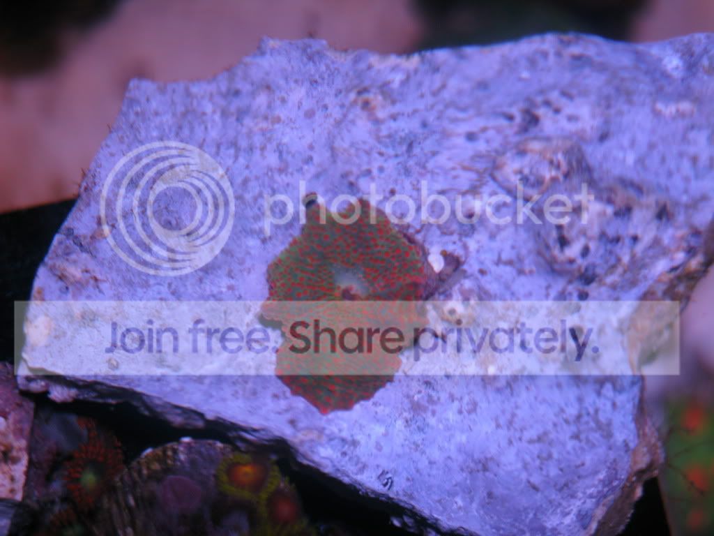 IMG_1589.jpg