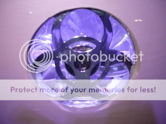 DSCN1379.jpg