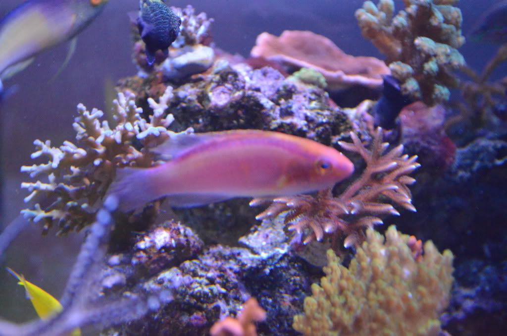 DSC_1110.jpg