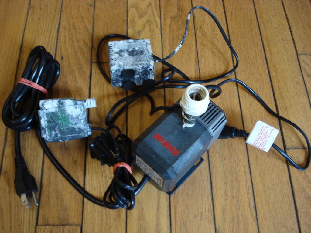 DSC03251.jpg