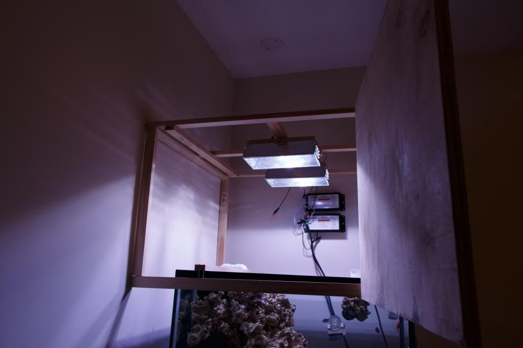 Aquarium-15.jpg
