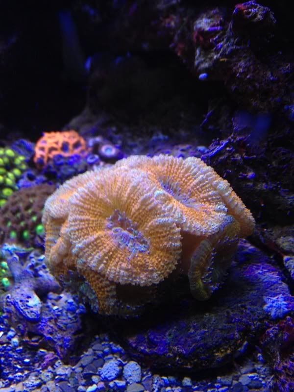 null_zps349cf6d3.jpg