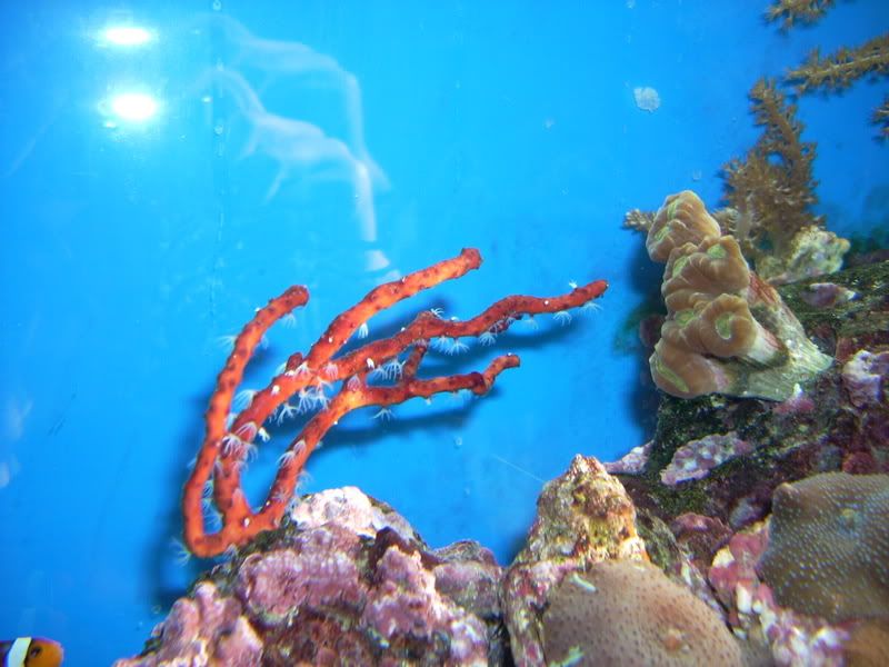 DSCN1509.jpg