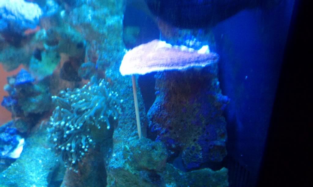 IMAG0074.jpg
