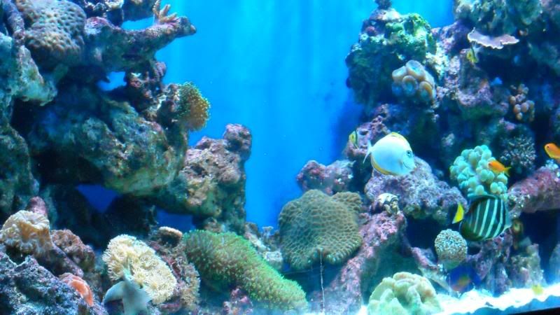 DSCN1029.jpg