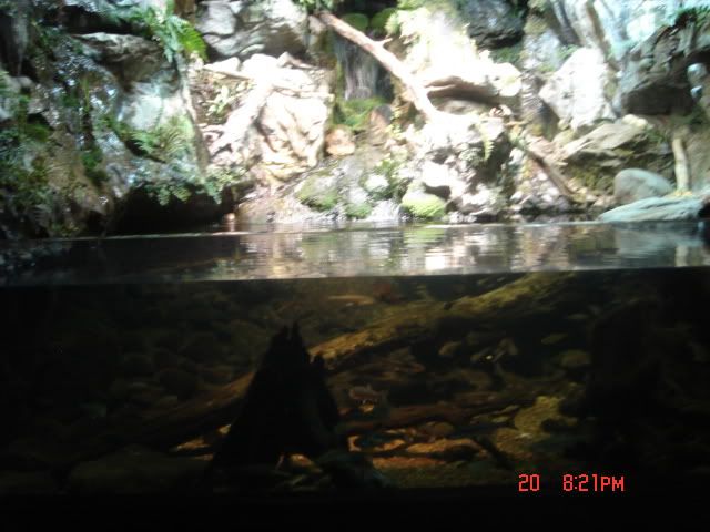 DSC01336.jpg