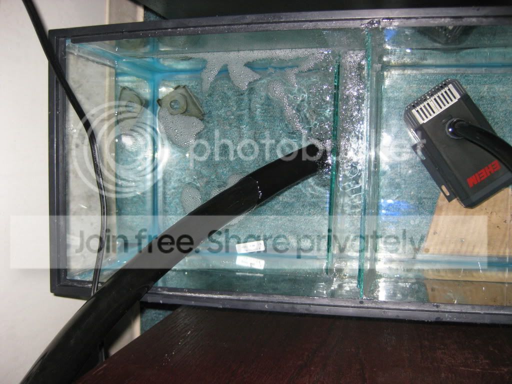 Fish003.jpg