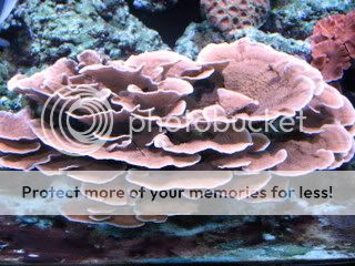 IMG_4077.jpg