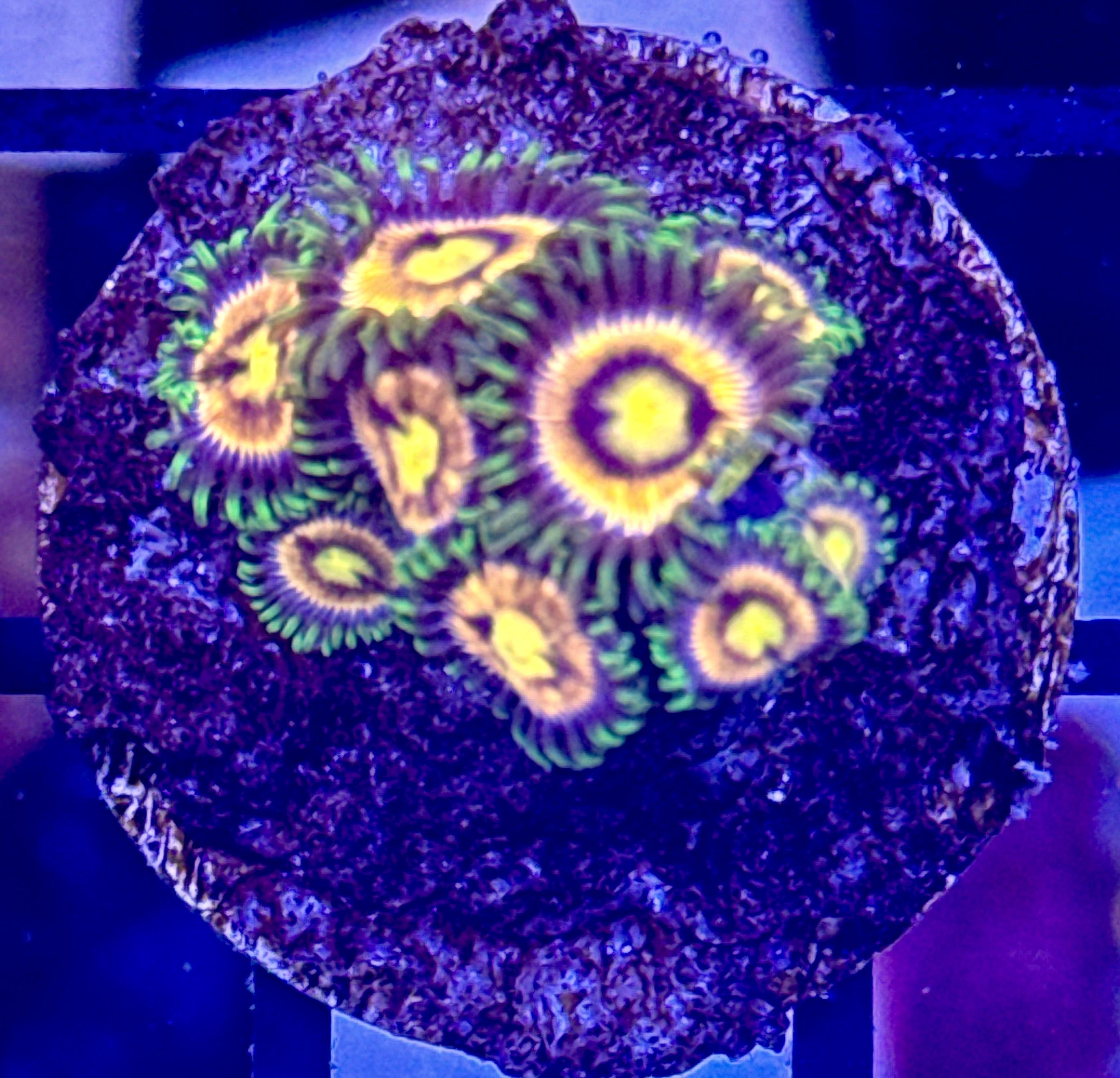 58b6976c3b29f11bea4e965e1b81803d.jpg